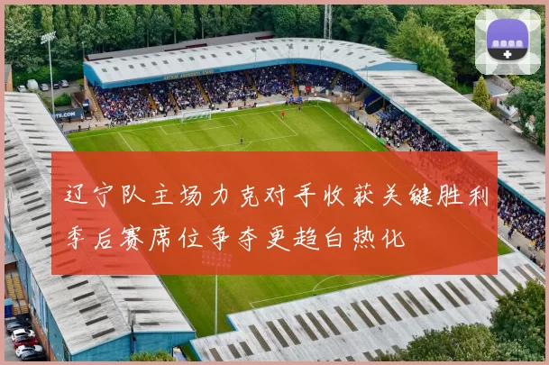 辽宁队主场力克对手收获关键胜利季后赛席位争夺更趋白热化