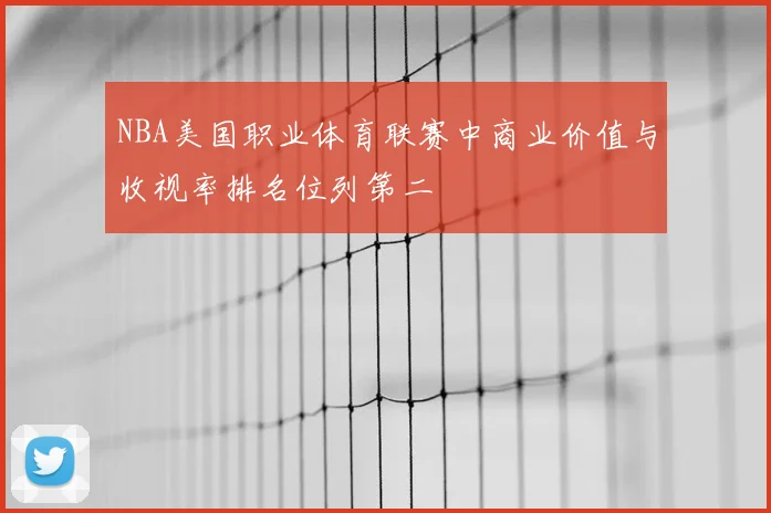 NBA美国职业体育联赛中商业价值与收视率排名位列第二