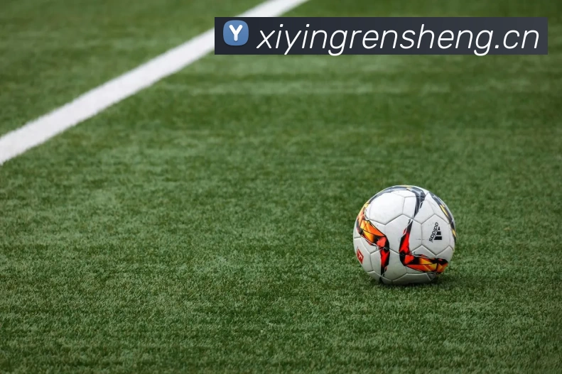 九游网页版·官方站入口 - 九游online(中国)平台生态图